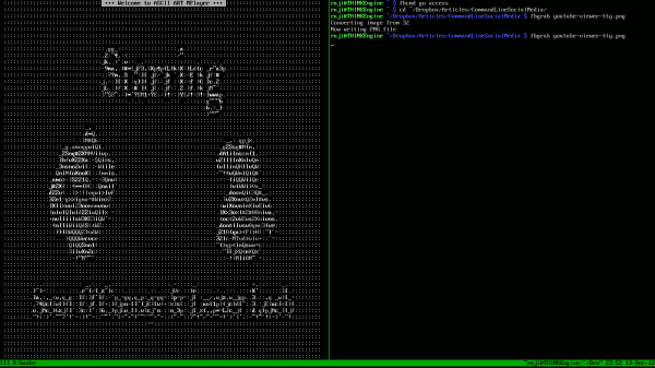 Redes sociales desde la línea de comandos, Parte 3: Tumblr, Flickr y YouTube