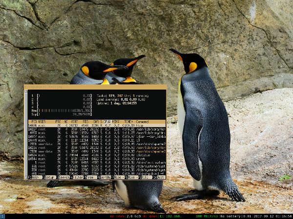 Cómo crear combinaciones de colores para que coincidan con su fondo de pantalla en Linux