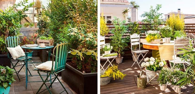 Muebles vintage en la terraza