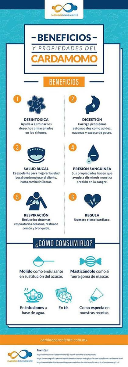 infografía sobre el cardamomo