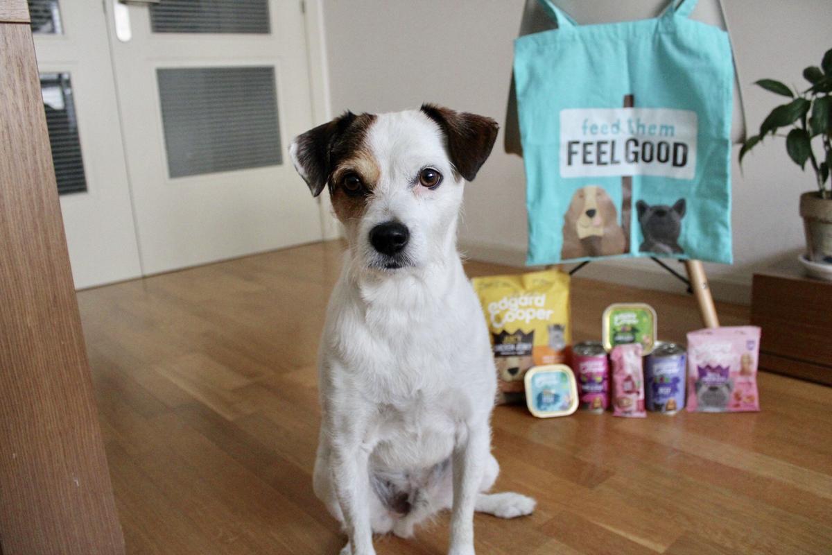 Pancho-y-edgarcooper