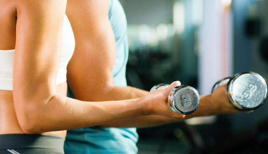 Cuánto tiempo se necesita para construir músculo haciendo ejercicio