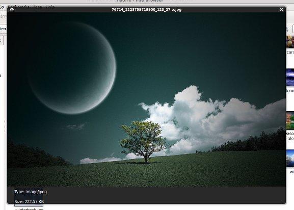 Cómo obtener la función QuickLook de Mac en Ubuntu