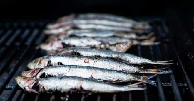 celebracion de la noche de san juan comiendo sardinas en la playa