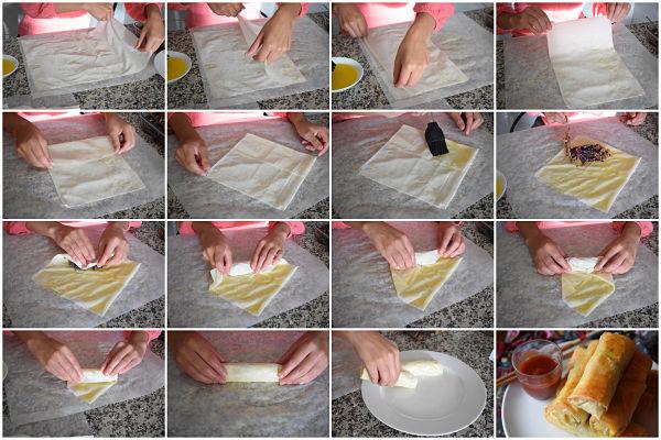 rollitos de primavera