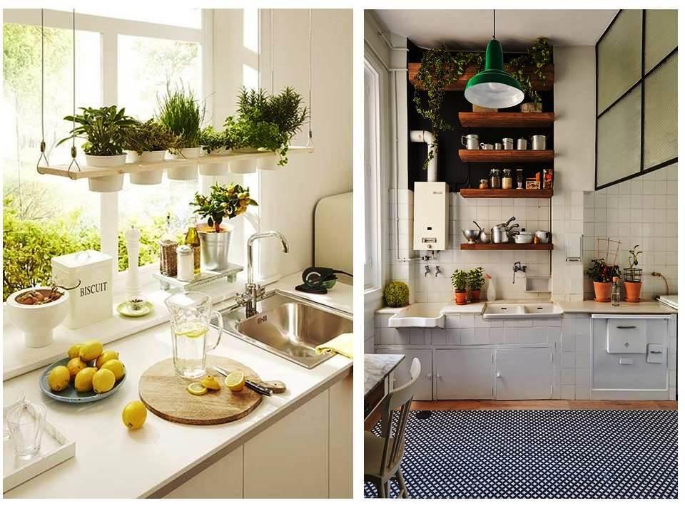 decorar con plantas la cocina