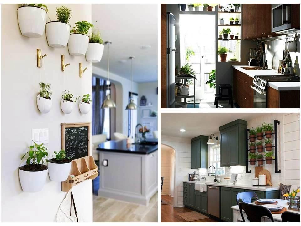 Bellas ideas de plantas para decorar la cocina | Plantas