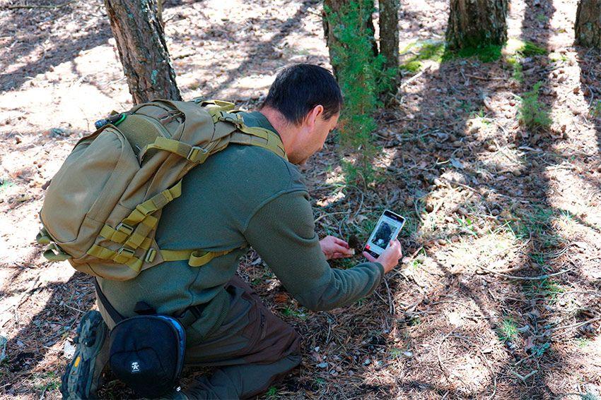 guia de setas app para identificar setas