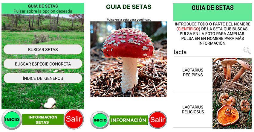 guia de setas app para identificar setas