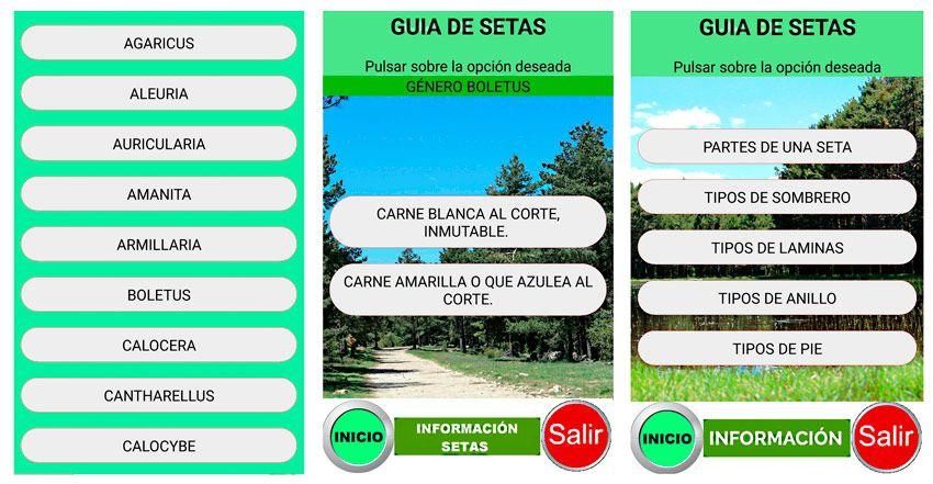 guia de setas app para identificar setas