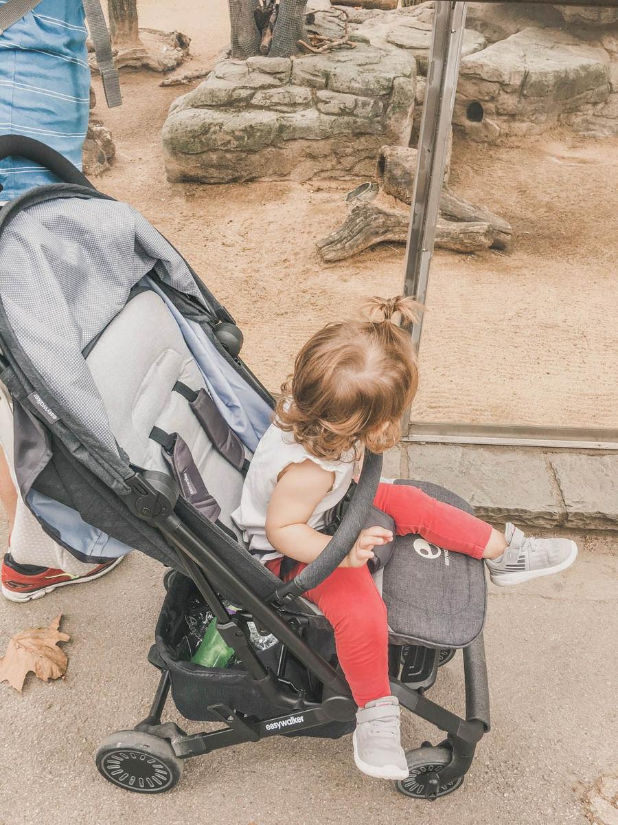 Silla de paseo EasyWalker Buggy XS