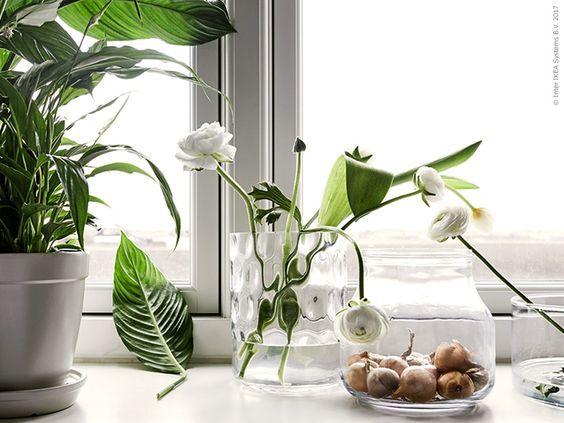 decoralinks | jarrones transparentes de ikea