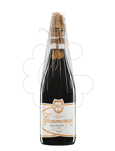 ¿Qué vino comprar para acompañar tapas? 