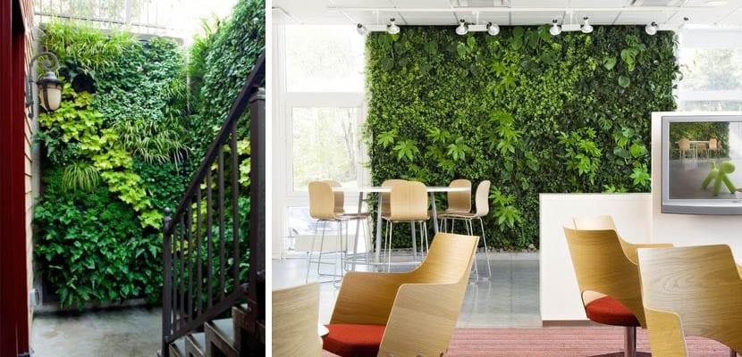 Jardines verticales artificiales interiores