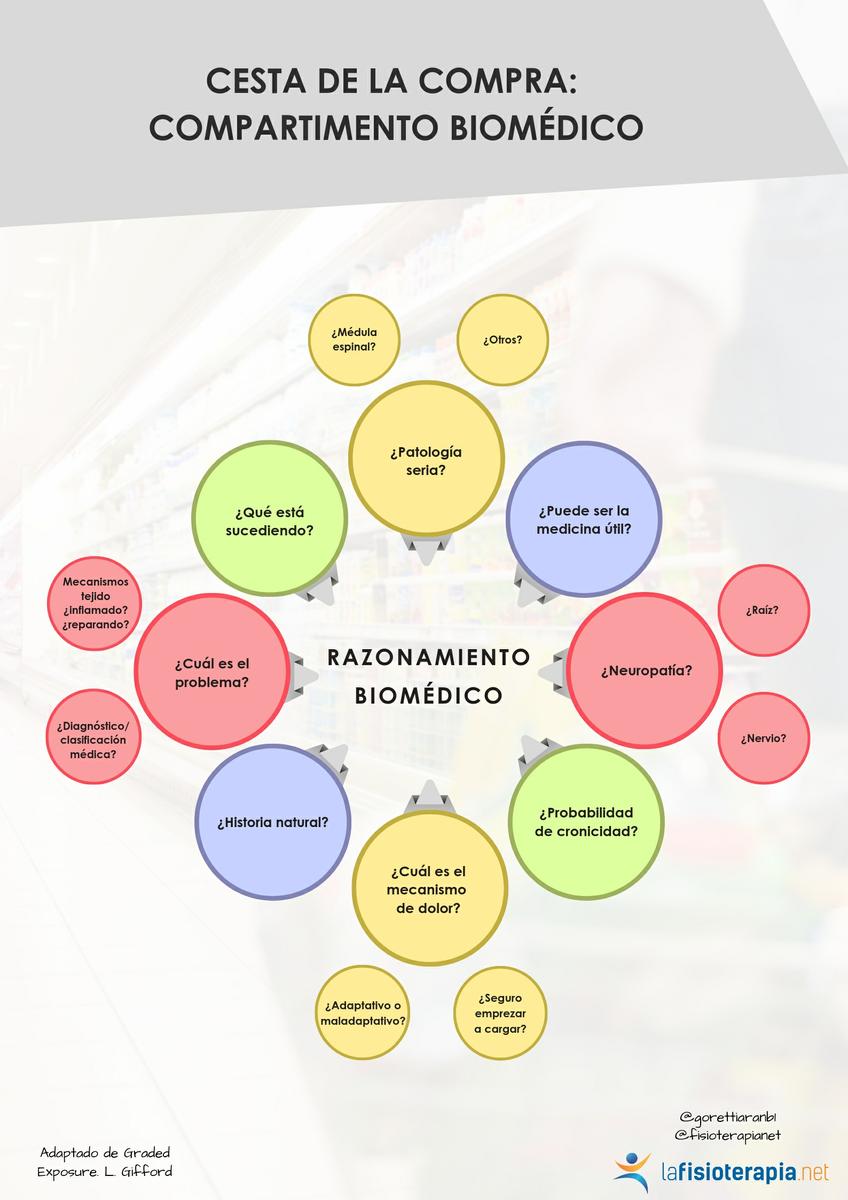 preguntas modelo biomedico
