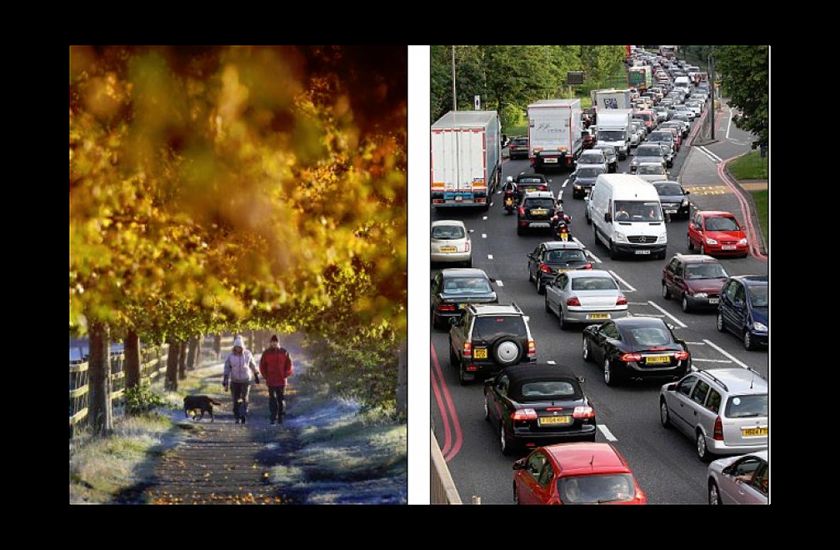 Psicólogo a Distancia