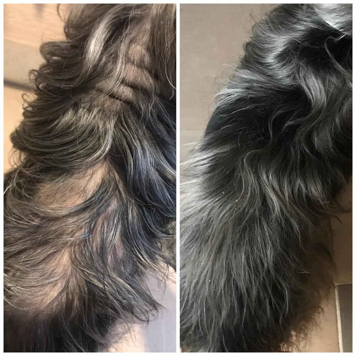 antes-y-después-con-Doxel