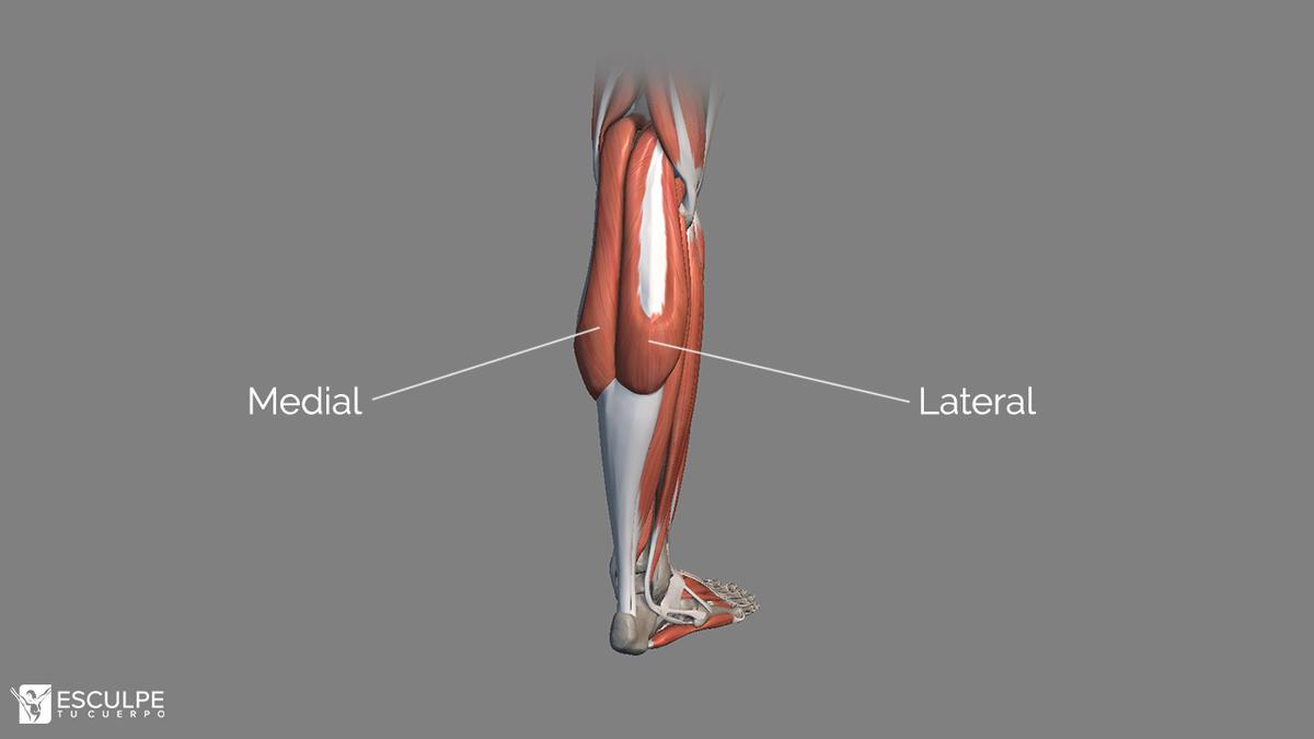 pantorrillas medial y lateral