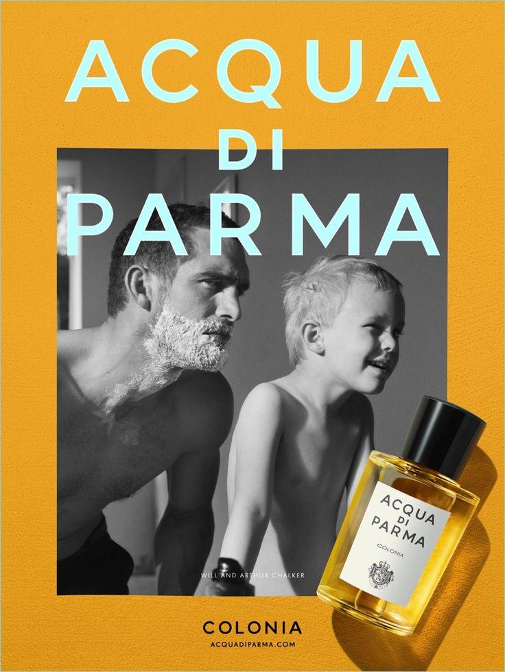 Los 8 Mejores Perfumes De Acqua Di Parma Para Hombres