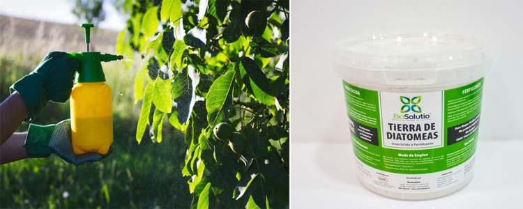 Usos de la tierra de diatomeas