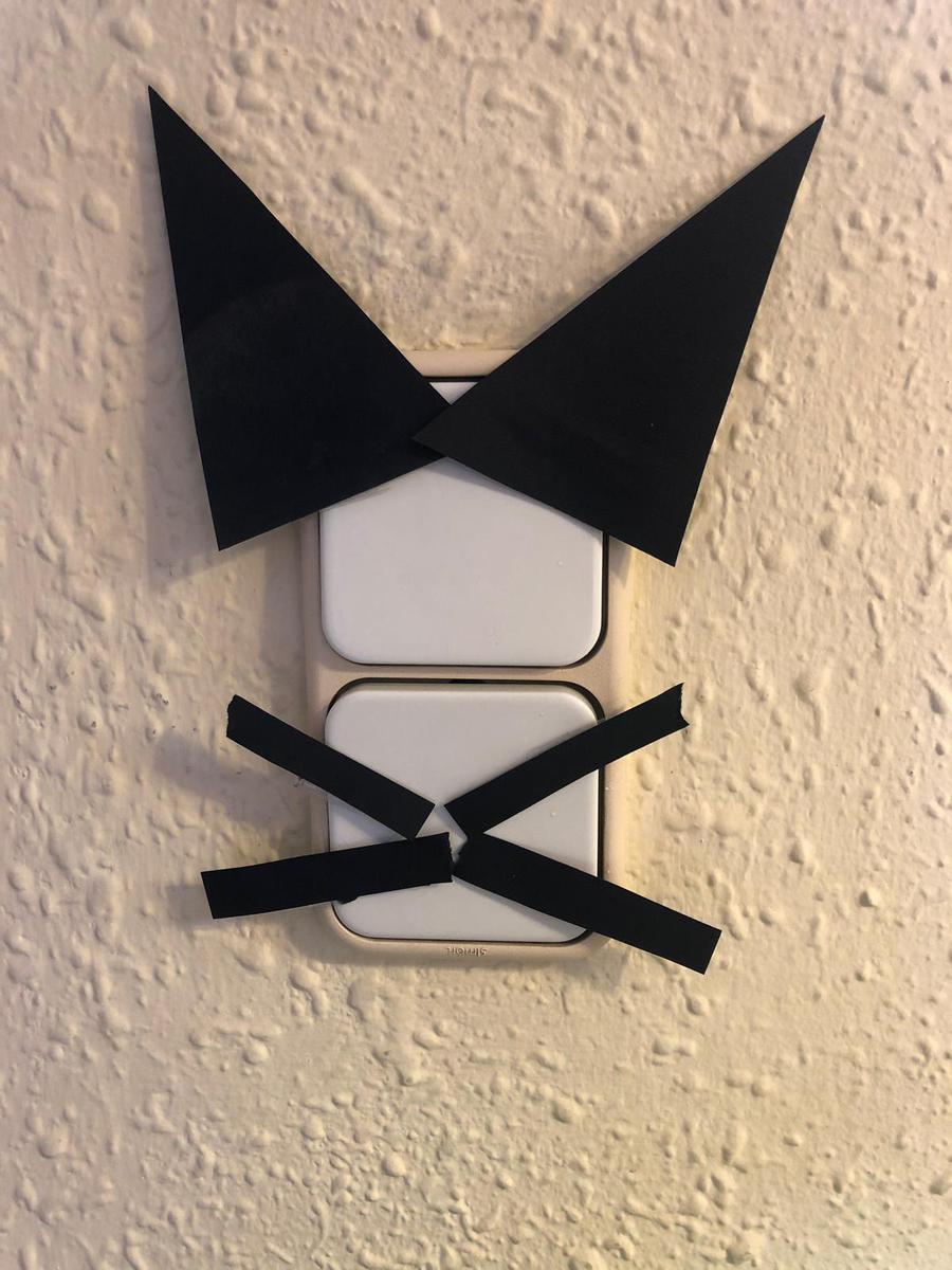 fiesta tematica gato