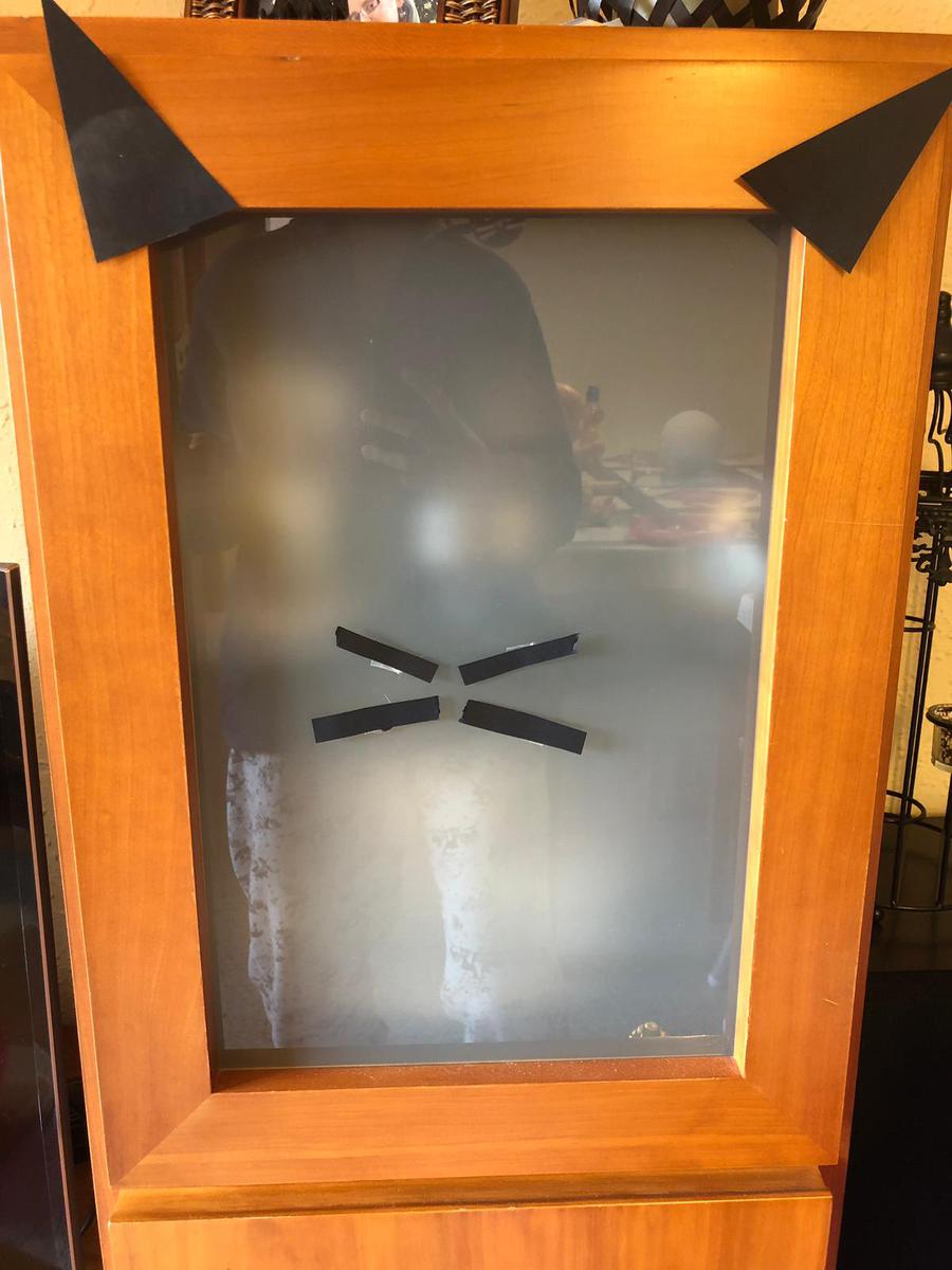 fiesta tematica gato