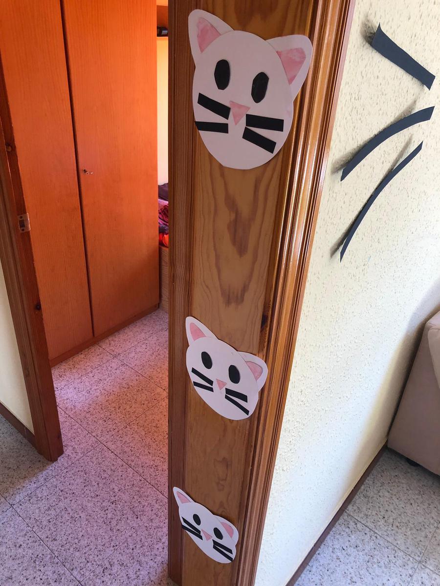 cumpleaños a tema gato