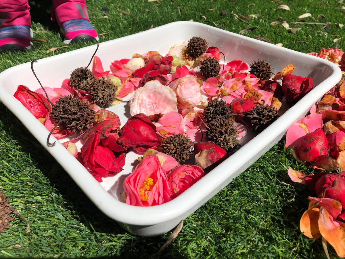 recoger flores niños