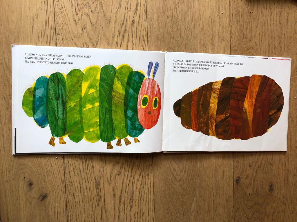 DE ORUGA A MARIPOSA NIÑOS