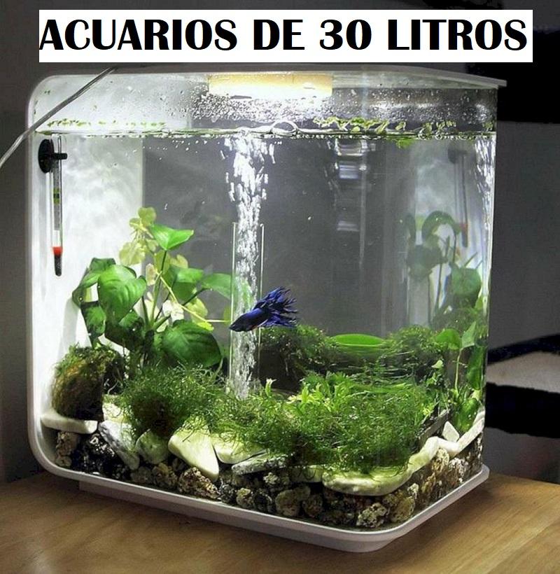 acuario de 30 litros