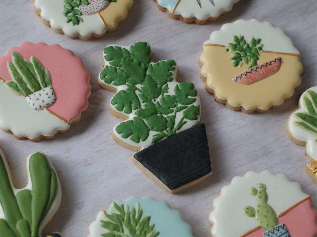 doctorcookies plant cookies (12).JPG