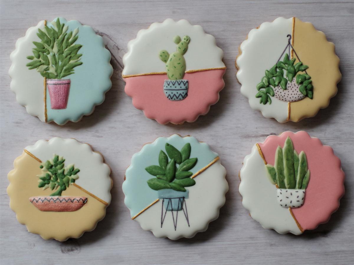 doctorcookies plant cookies (5).JPG