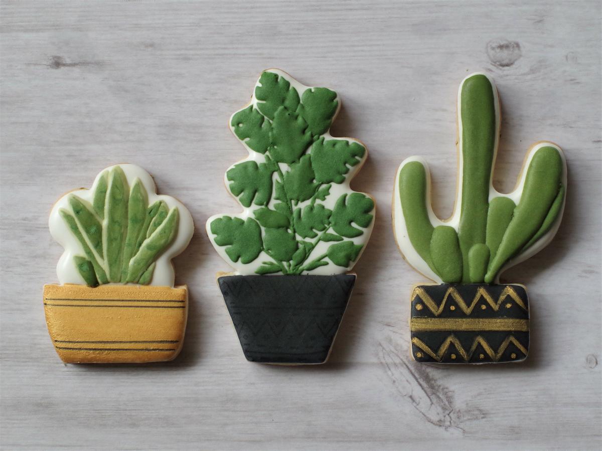 doctorcookies plant cookies (3)