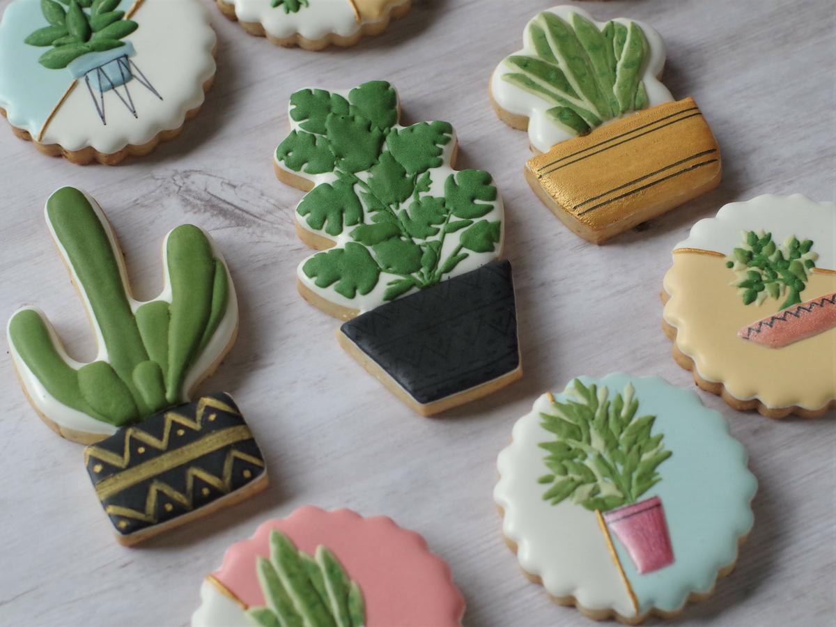 doctorcookies plant cookies (9)