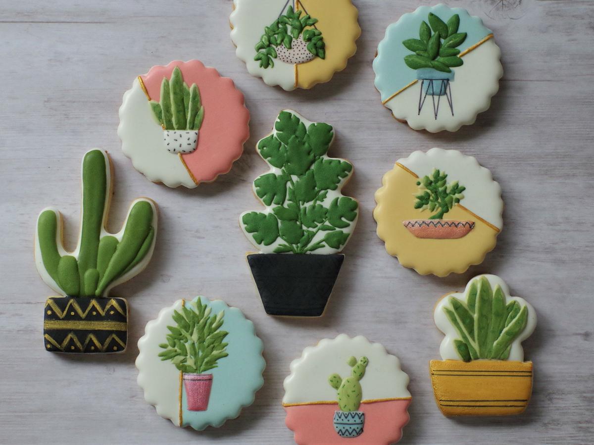 doctorcookies plant cookies (10)