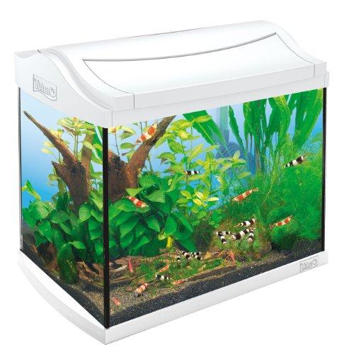 Set Tetra AquaArt 20 litros