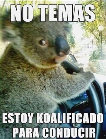 memes chistosos para whatsapp