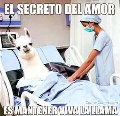 imagenes de memes de amor