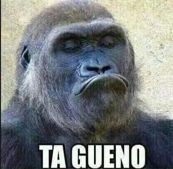 memes chistosos cortos