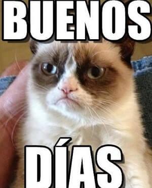 memes buenos dias mas tiernos