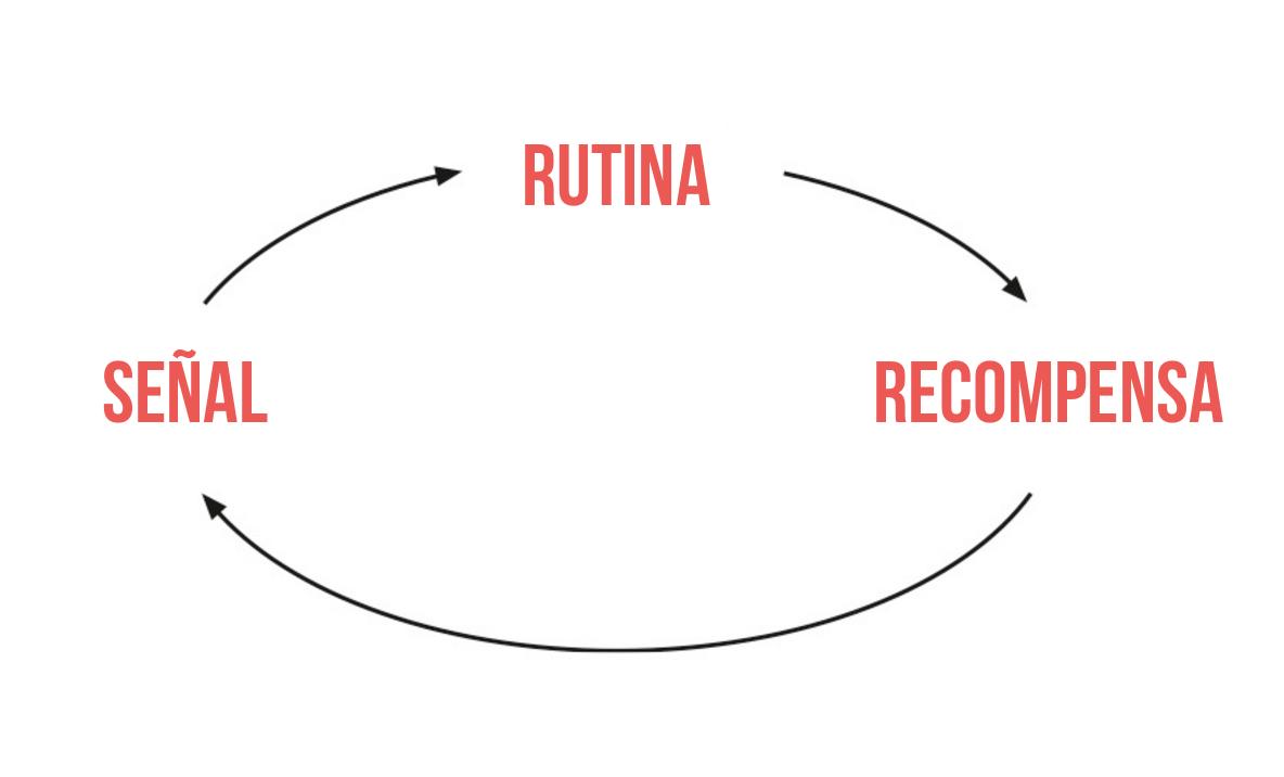 Resultado de imagen de bucle del habito