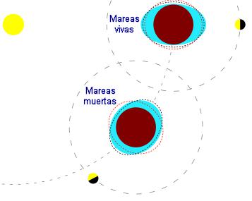 Mareas vivas y mareas muertas