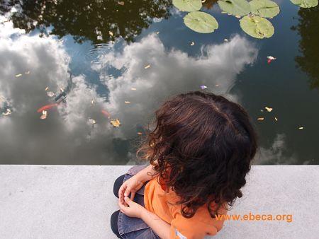 Nilos mirando un estanque