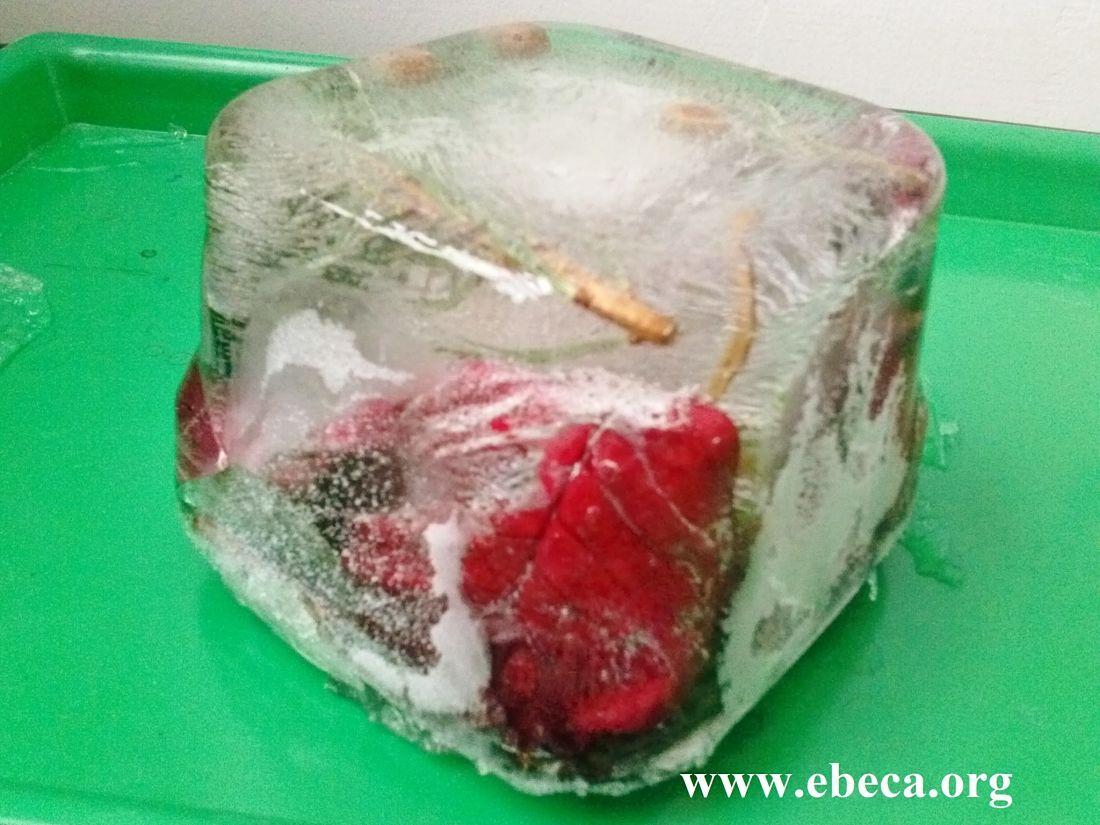 Cosas congeladas en un bloque de hielo
