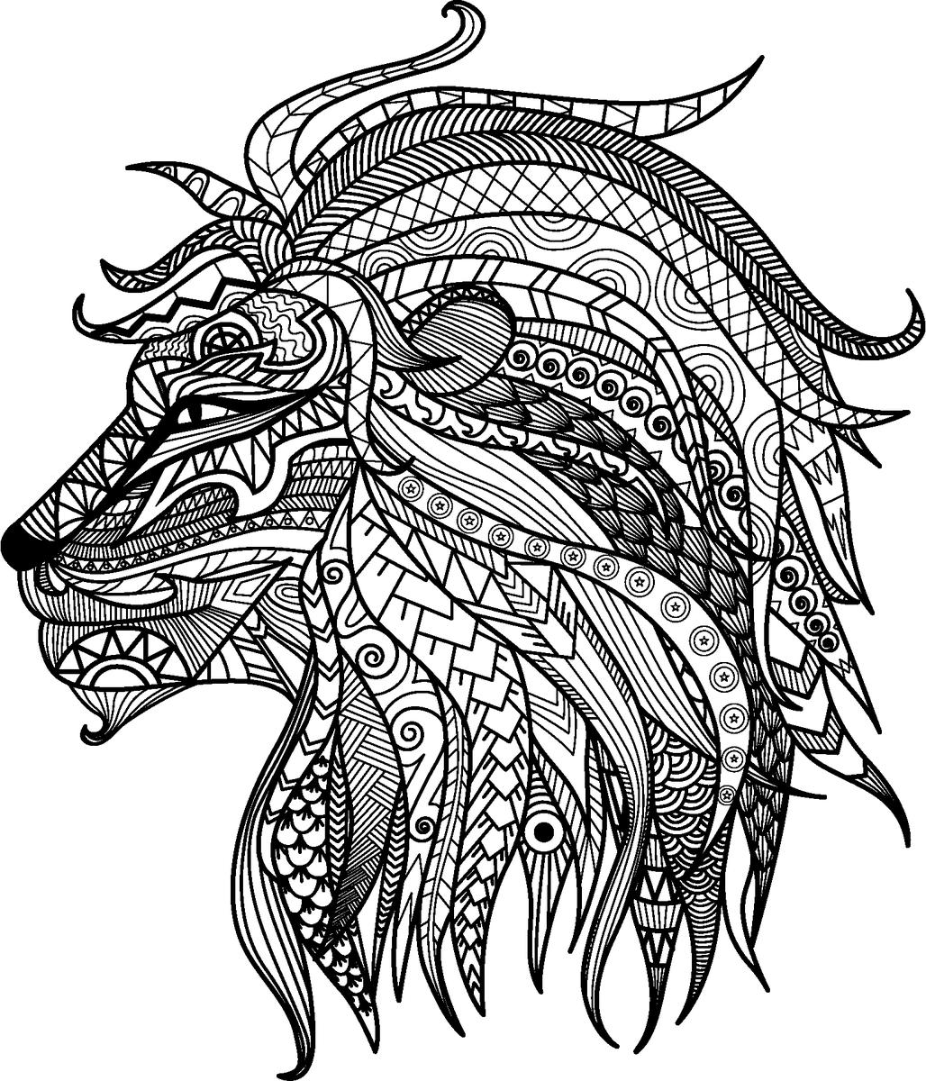 Dibujo de león para colorear