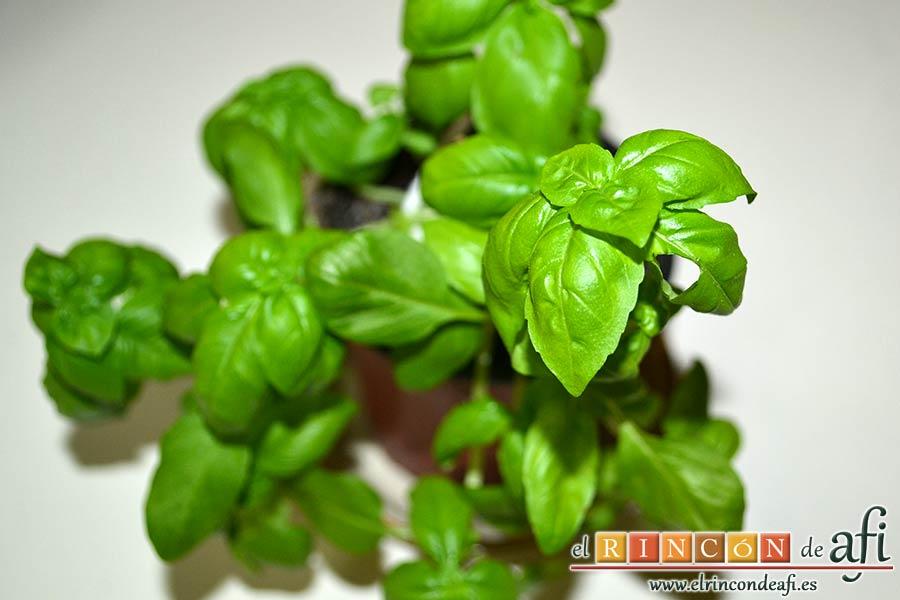 Tortilla de albahaca, elegir unas hojas de albahaca fresca