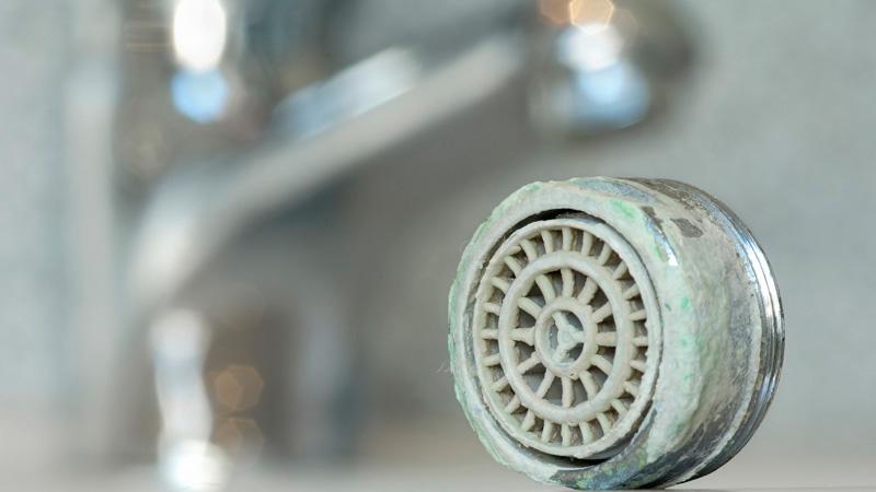 Trucos para combatir la cal en la ducha