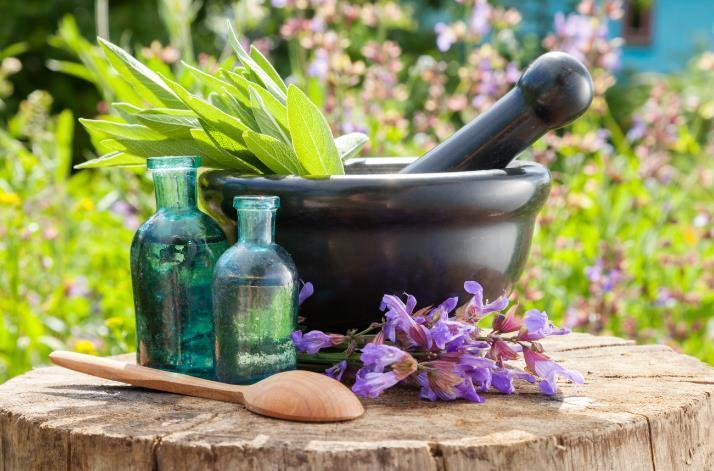 https://i0.wp.com/www.espsformacion.com/wp-content/uploads/2017/09/fitoterapia-plantas.jpg?fit=714%2C471&ssl=1
