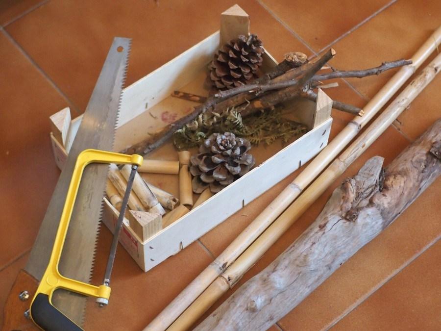 algunos materiales para el hotel de insectos; segueta, serrucho, piñas, cañas, palos y tronco
