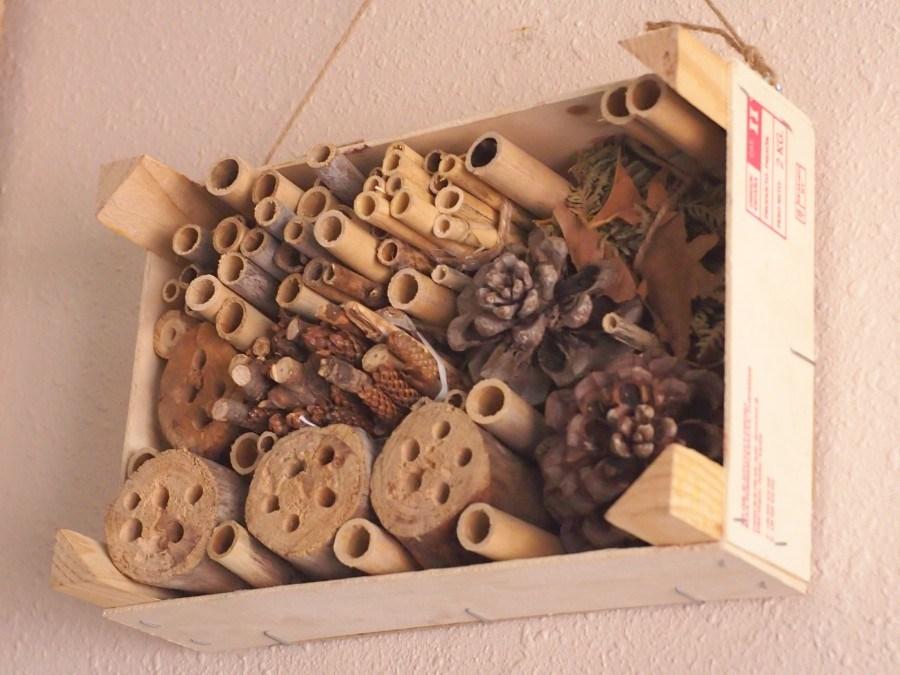 Foto del hotel de insectos en la caja de fresas donde se ven los diferentes tamaños de las cañas y demás componentes